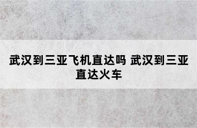 武汉到三亚飞机直达吗 武汉到三亚直达火车